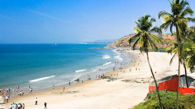 Goa1