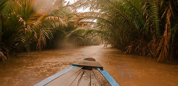 Mekong river cruise