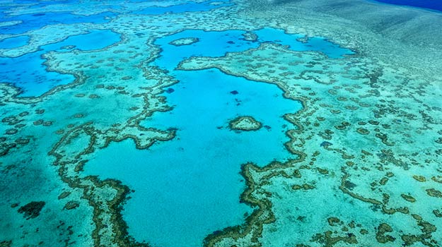 Queensland-Great-barrier-reef-shutterstock_358055927