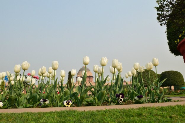 mughal gardens delhi 3