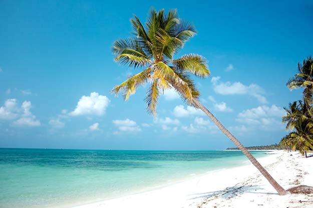 lakshadweep coral reef