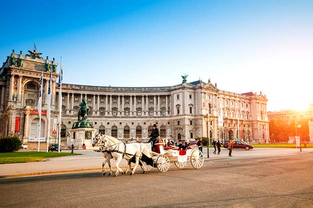 vienna 7