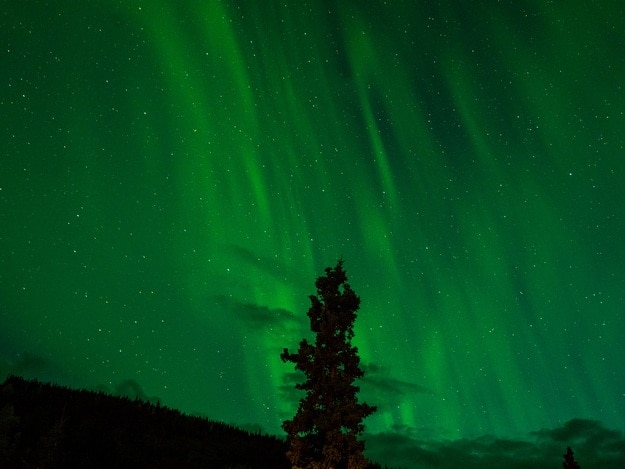 04travel-denali-national-park-and-reserve-united-states