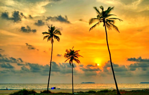 Photograph: Shutterstock