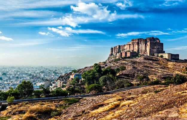 Photograph: Shutterstock
