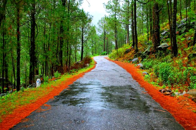 Photograph courtesy: /Creative Commons