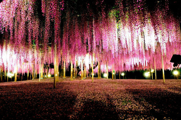2-travel-japan