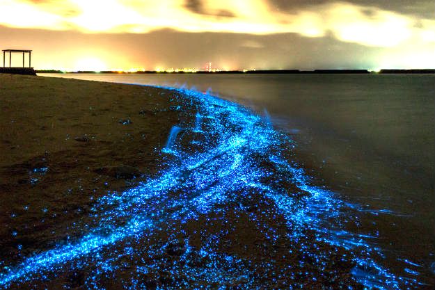 2-travel-maldives
