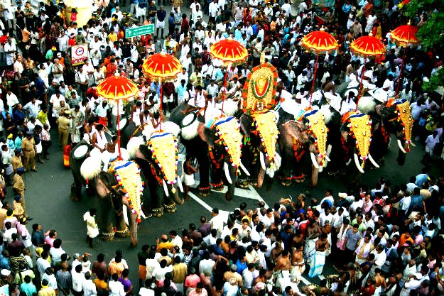 Thrissur Pooram Photos Get Ready For The Festivities Of Thrissur Pooram 2017