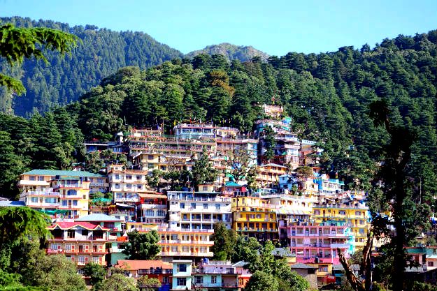 9-travel-dharamsala-8