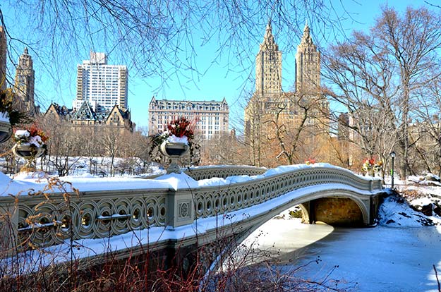 Central Park's bow bridge during winter