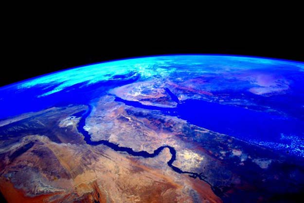 Egypt---Twitter---Feb-11
