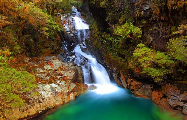New-Zealand-Falls-creek-Fiordland-