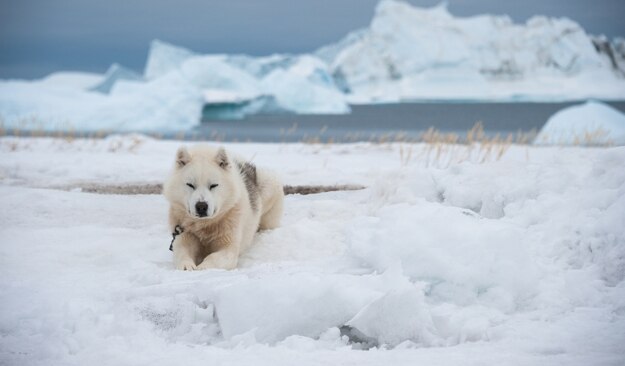 10 incredible photographs that show you the stunning beauty of ...