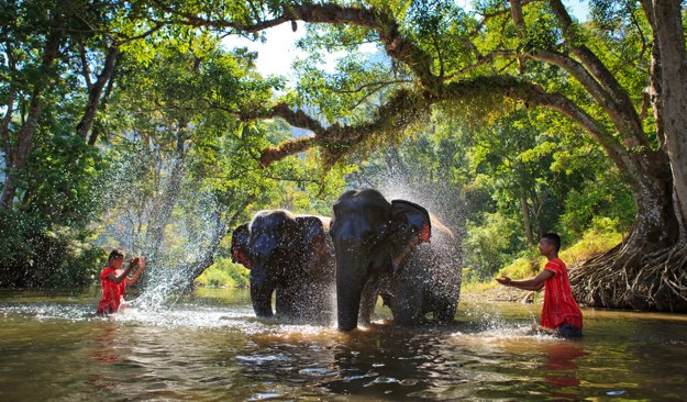 thailand 3