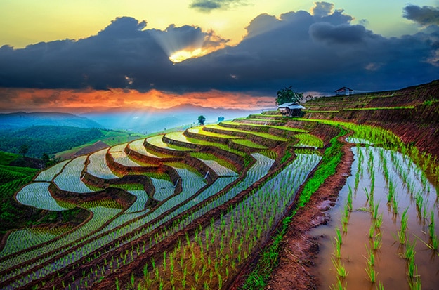 shutterstock_279311915