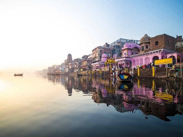 Photograph: Shutterstock