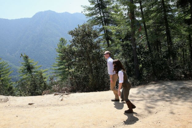 Kate and Will Tigers Nest 8