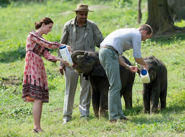 Kaziranga - Kate and Will - 1