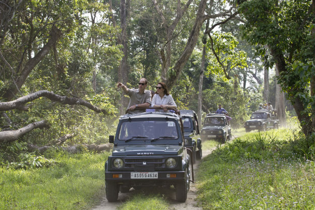 Kaziranga - Kate and Will - 10