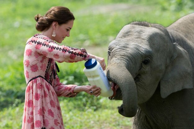 Kaziranga - Kate and Will - 3