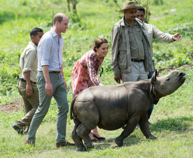 Kaziranga - Kate and Will - 6
