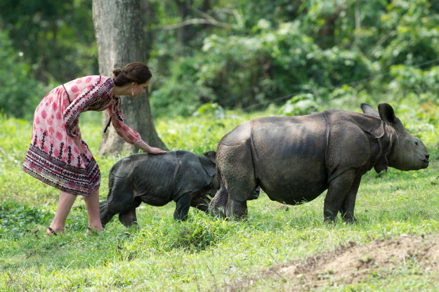 Kaziranga - Kate and Will - 8