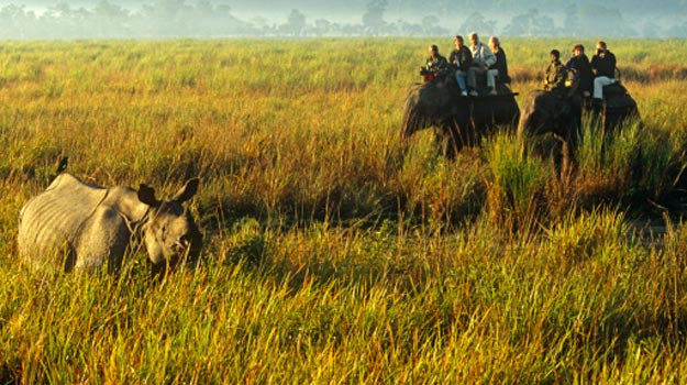 Kaziranga-National-Park