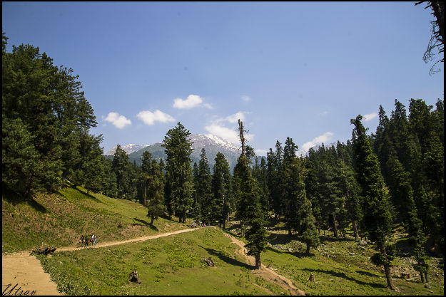 Image: Utasav Verma/Creative Commons