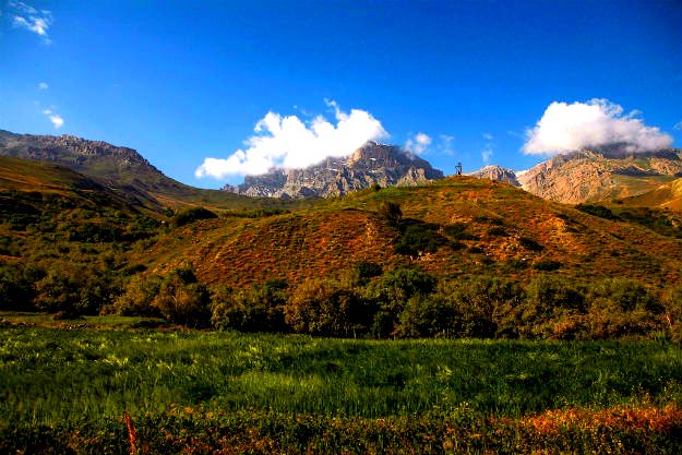 Photograph courtesy: