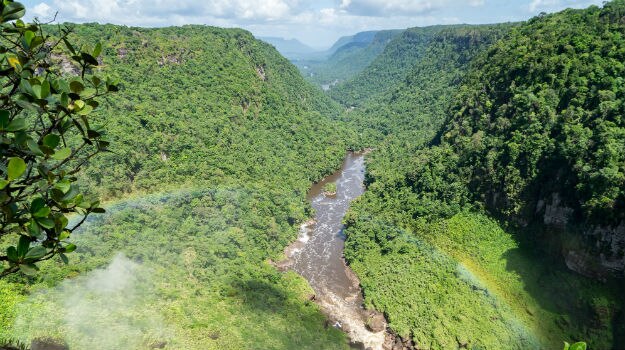 28Guyana