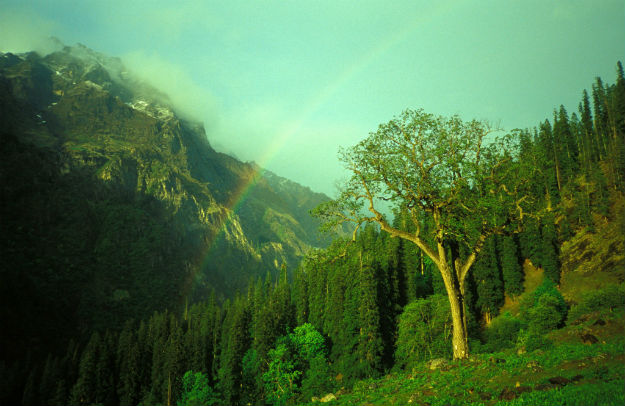 Kheerganga