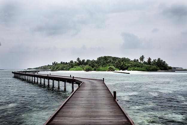 Photograph: Gettyimages