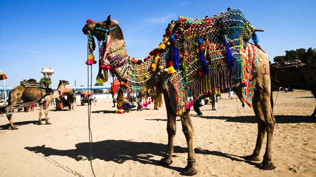 Pushkar