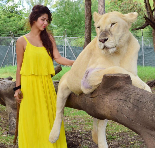 Sonarika 6