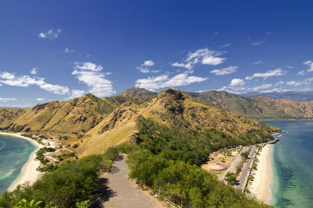 Photograph: Shutterstock