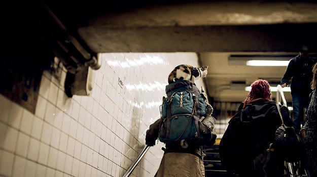 backpacking-light-2