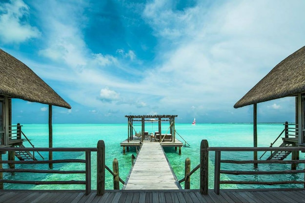 cocoa island