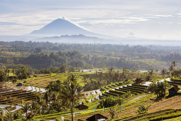 indonesia