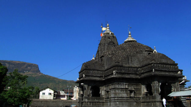 Image: Niraj Suryawanshi/Wikimedia Commons