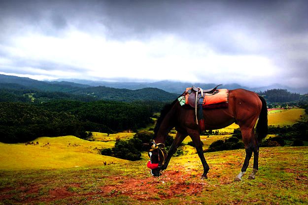 Photograph courtesy: Ram R2R/Creative Commons