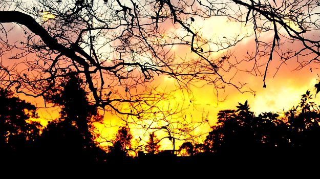 shillong9