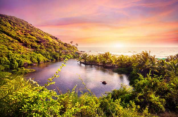 Goa Arambol sweet water lake