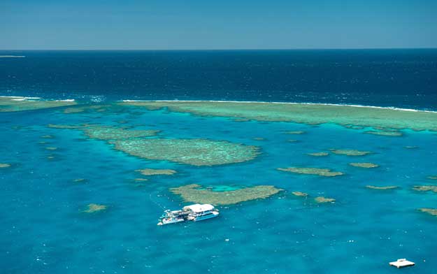 great barrier reef