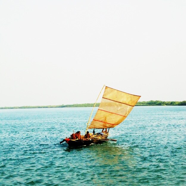 sunderbans-pinaz-kazi