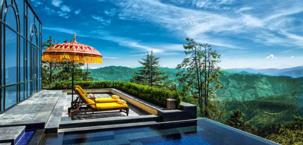 5shimla wildflower