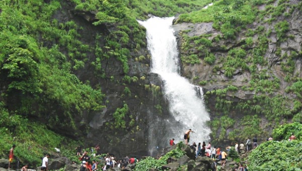 Photograph Courtesy: selvin kurian/Creative Commons