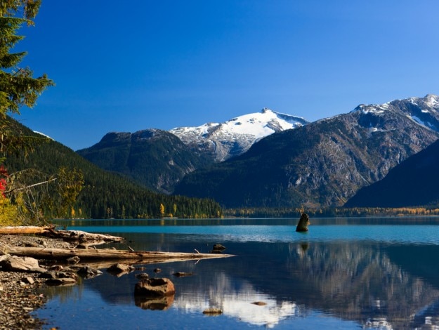 Photos of Nimrat Kaur taking a dip in the Cheakamus Lake are all you ...