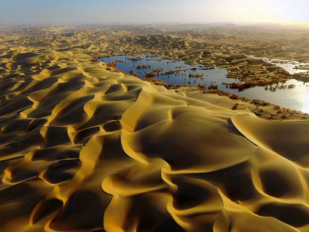 Desert