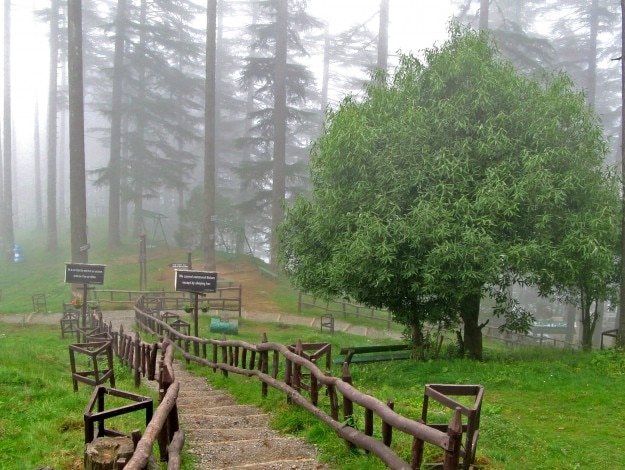 Dhanaulti Eco Park